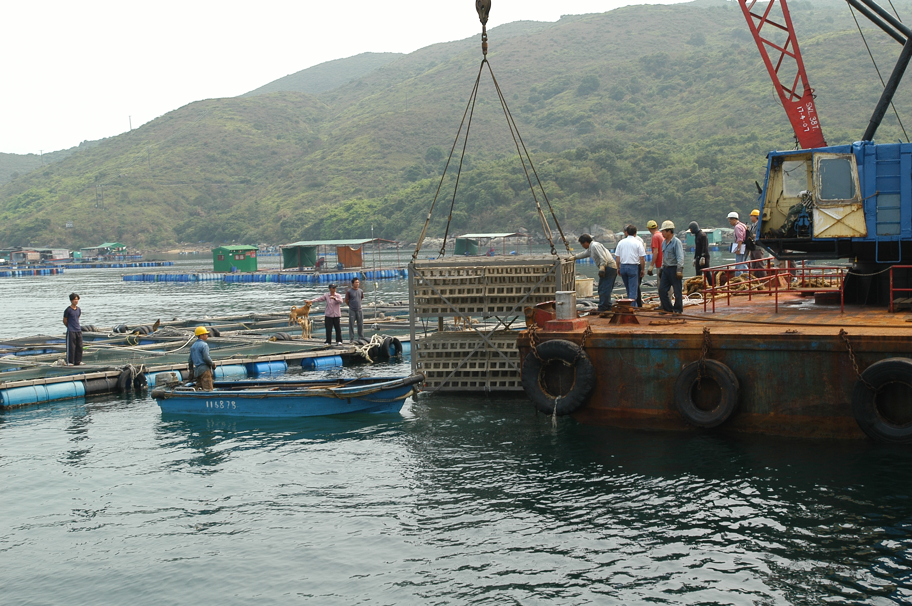 Photo of deployment of Biofilter