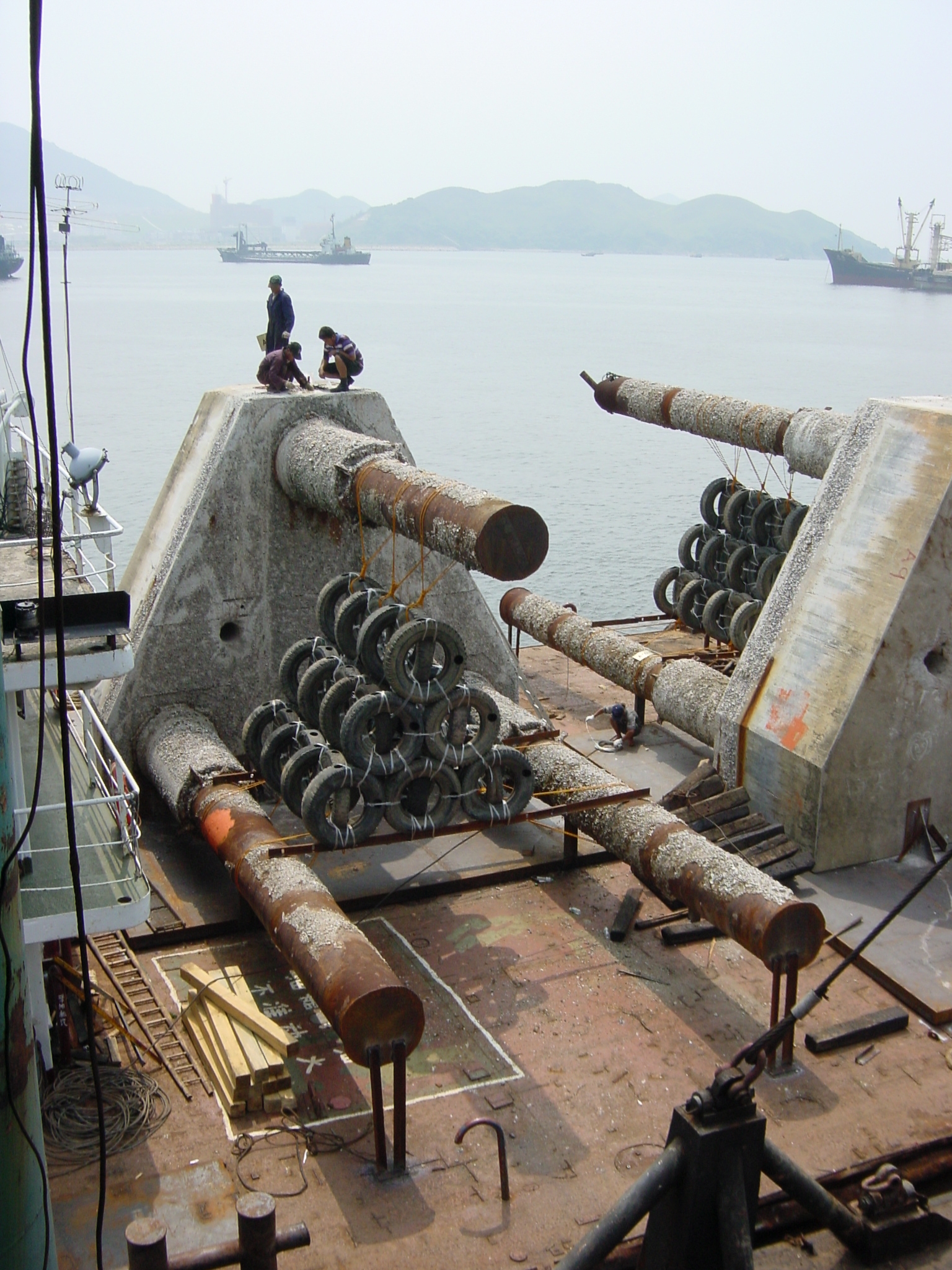 Photo of eedundant dolphin after modification