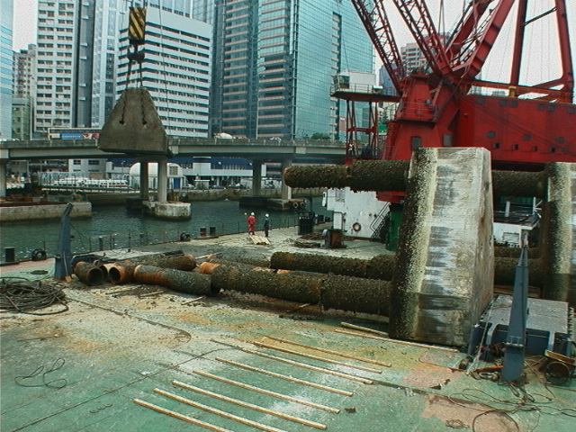 Photo of Redundant dolphin