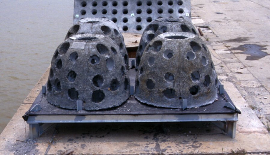 Photo of concrete reef balls