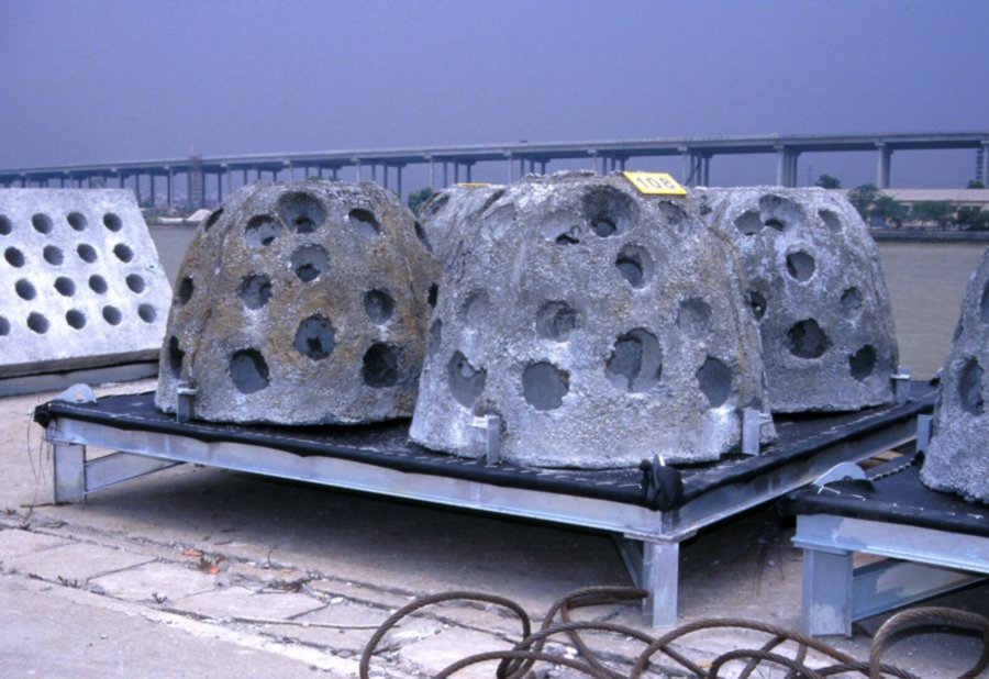 Photo of concrete reef balls