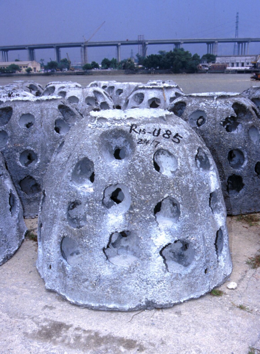 Photo of concrete reef balls