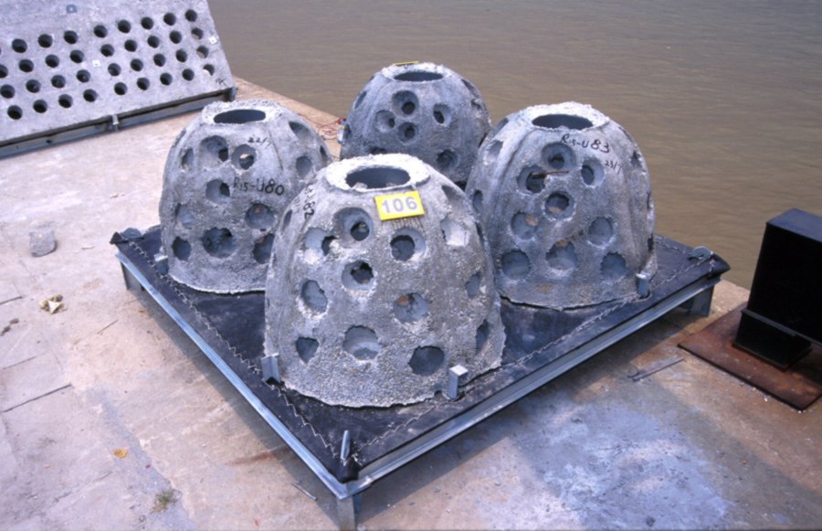 Photo of concrete reef balls