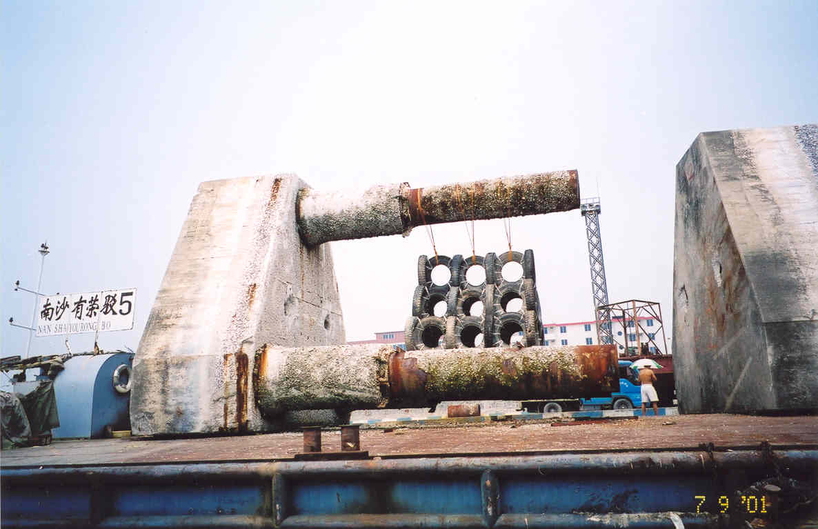 Photo of Dolphin (fender)