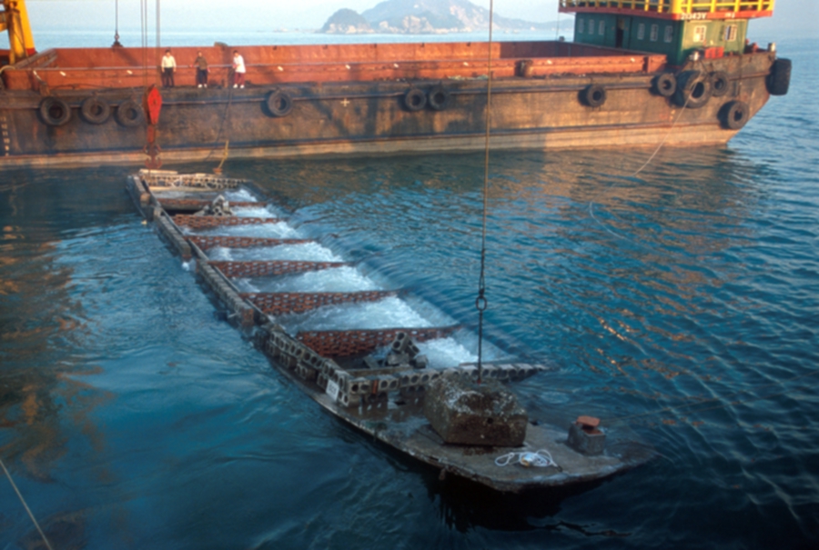 Photo of deployment of Ferro-cement vessel AR at Sha Chau