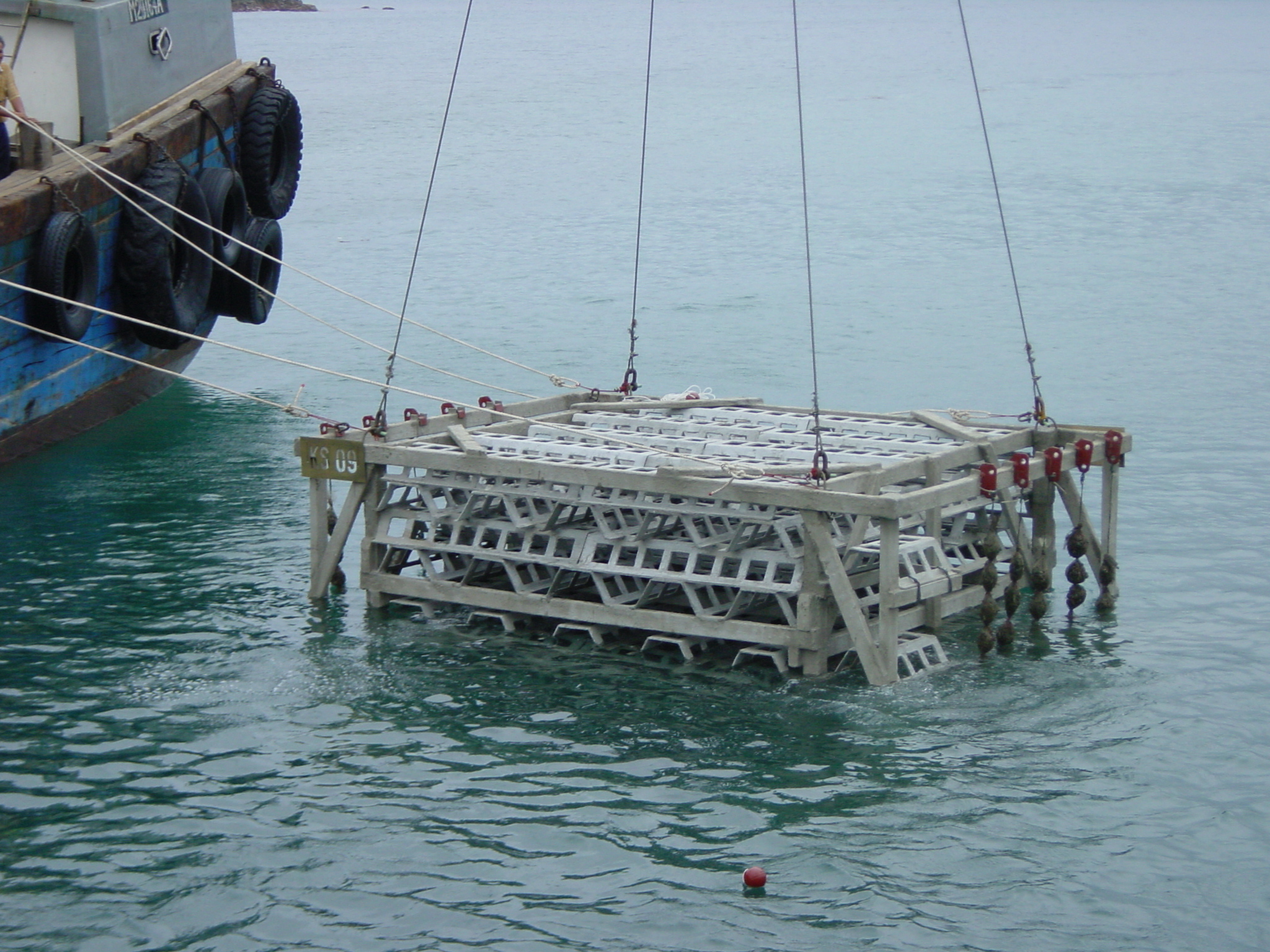 Photo of deployment of biofilter