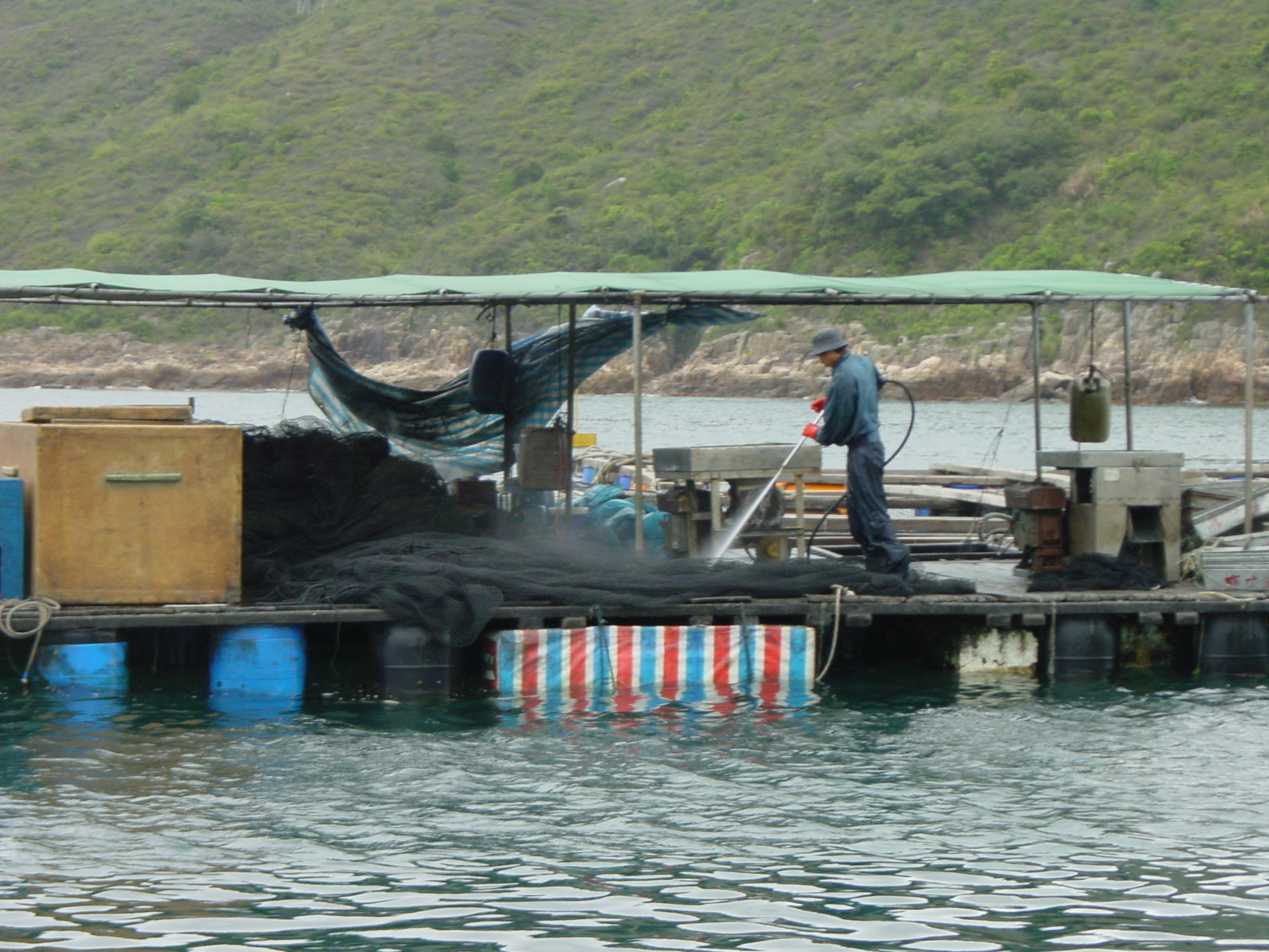Photo of mariculture raft in Kau Sai