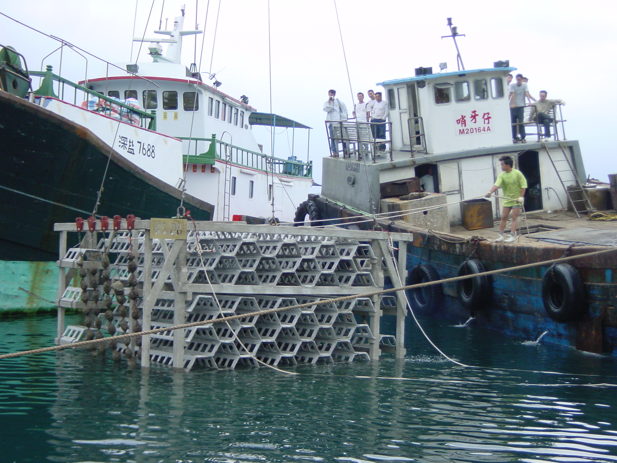 Photo of deployment of biofilter