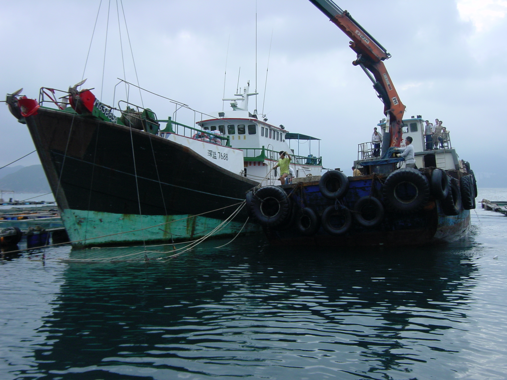 Photo of deployment of biofilter