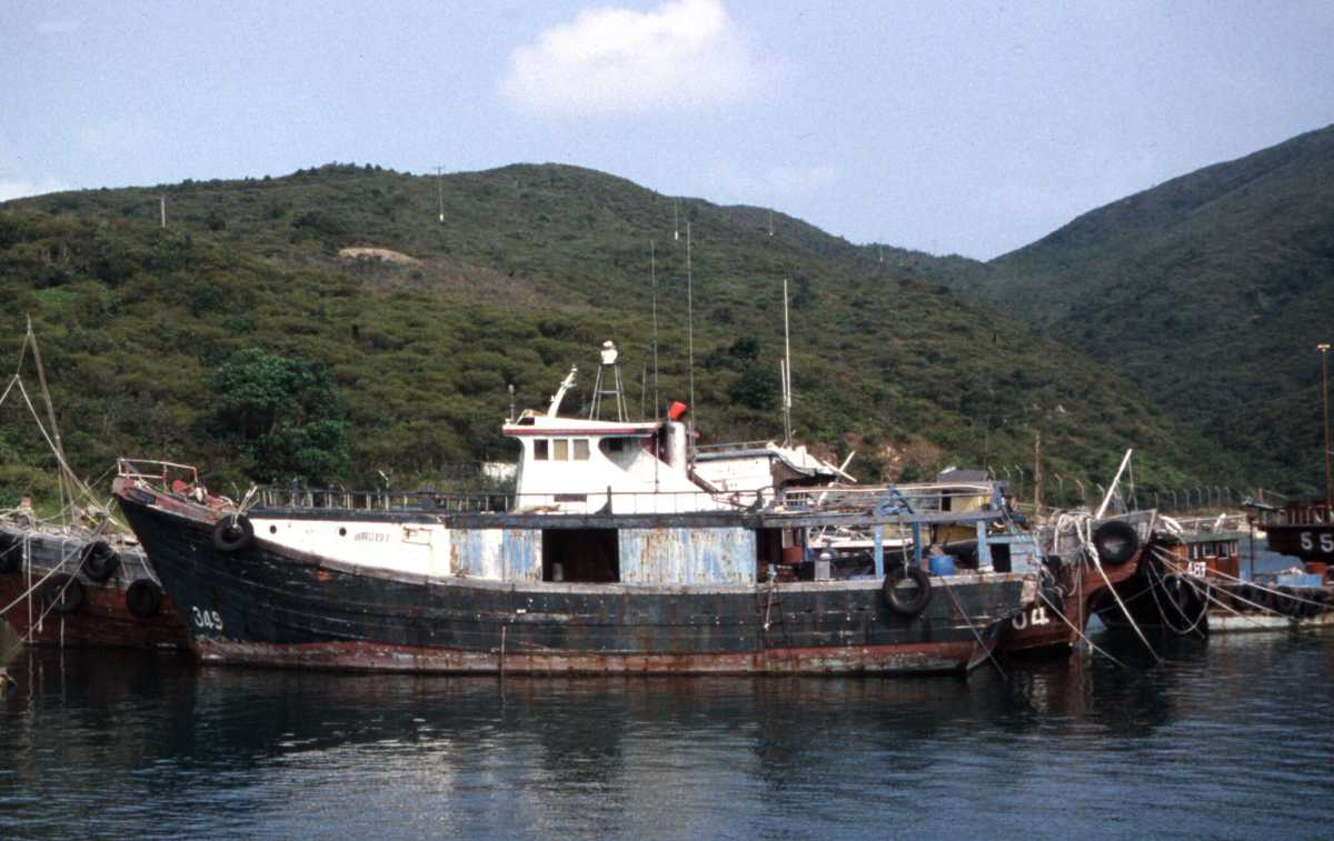 Photo of wooden vessel artificil reef