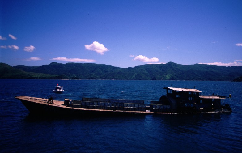 Photo of steel vessel artificial reef