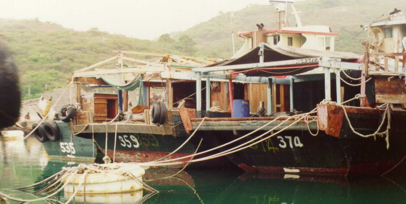 Photo of wooden vessel artificial reef