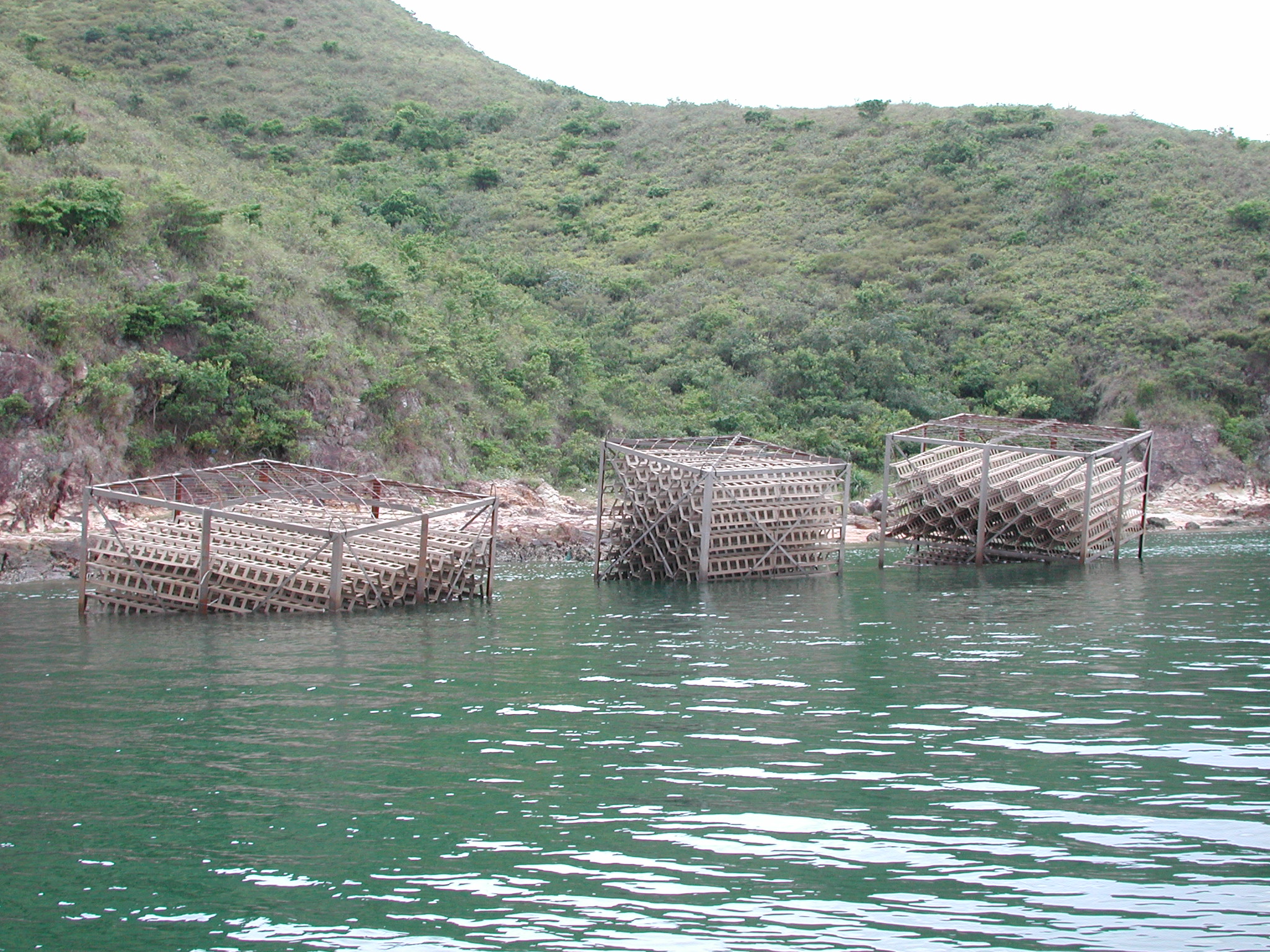 Photo of deployment of biofilter