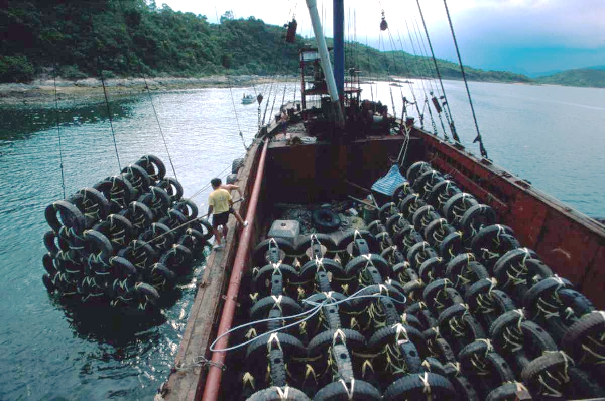 Photo of deployment of used tyre artificial reef